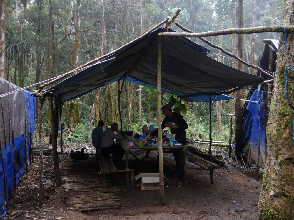 Campement dans les monts Arfak