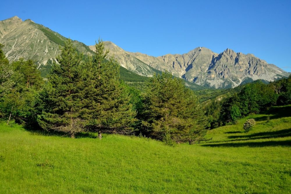 Paysage du haut Var