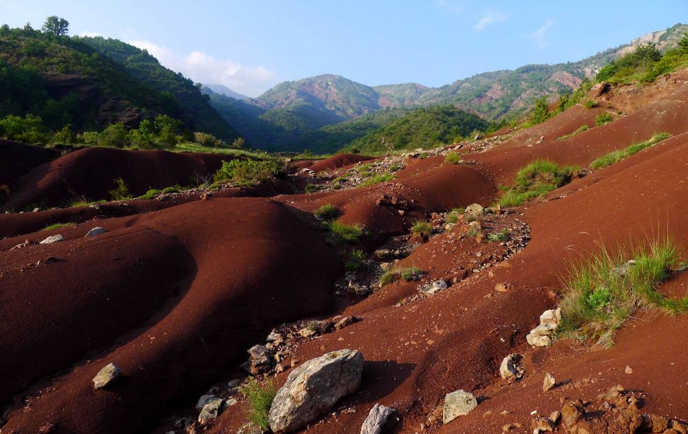 Paysage couleur lie de vin