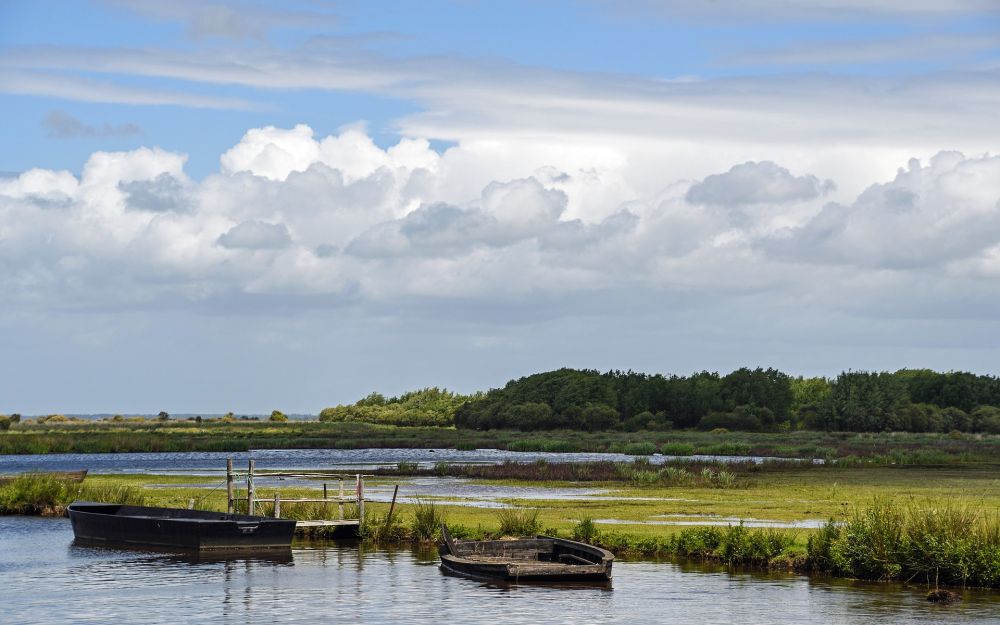 Marais de Brière