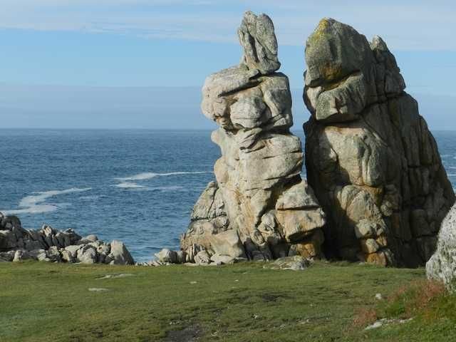 Séjour ornithologique à Ouessant