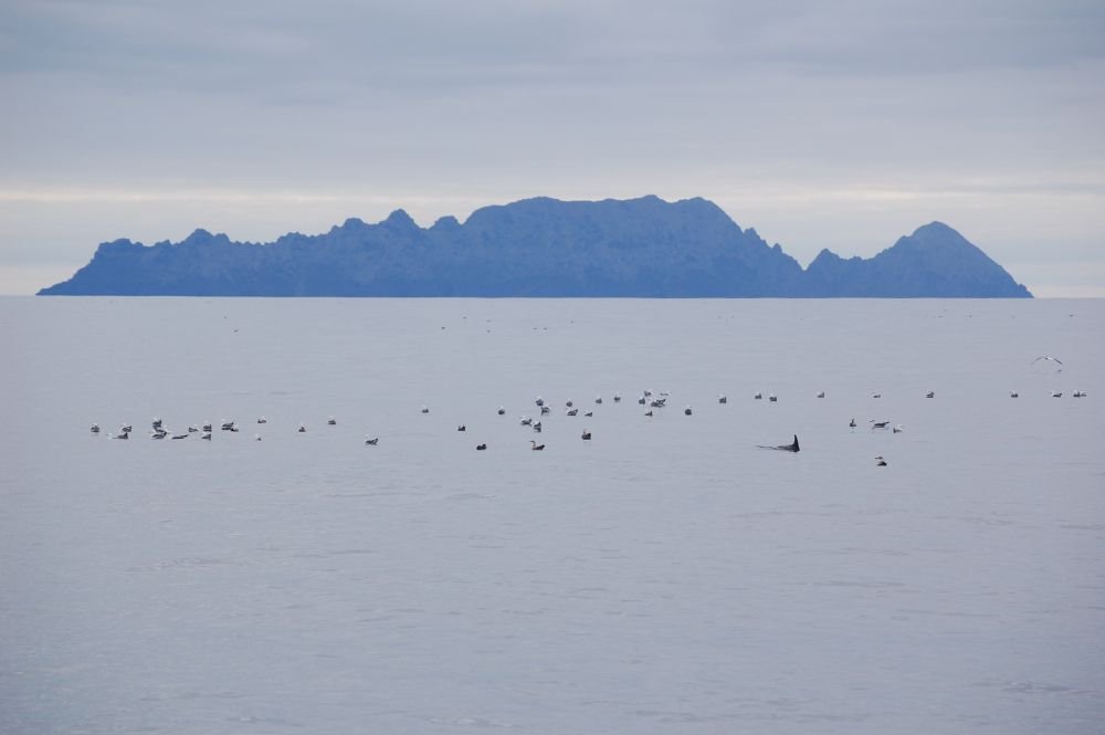 Îles Desertas