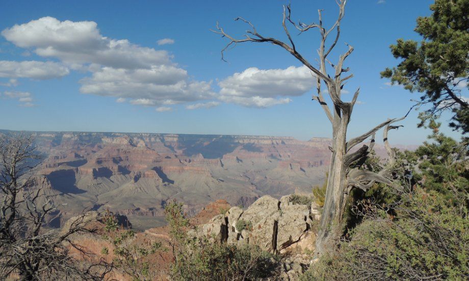 Grand-canyon