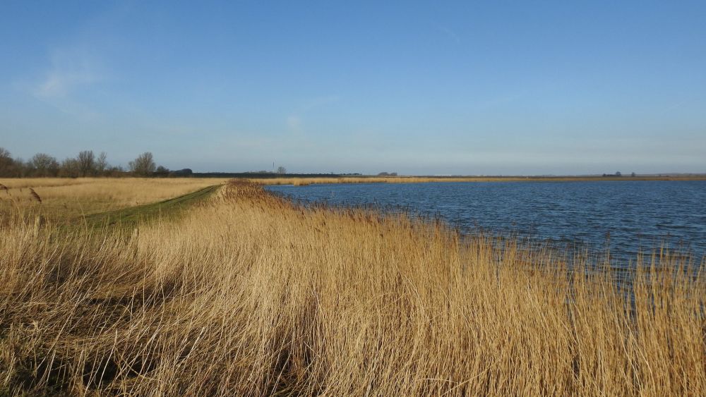 Parc national Lauwersmeer © Gertjan van Noord