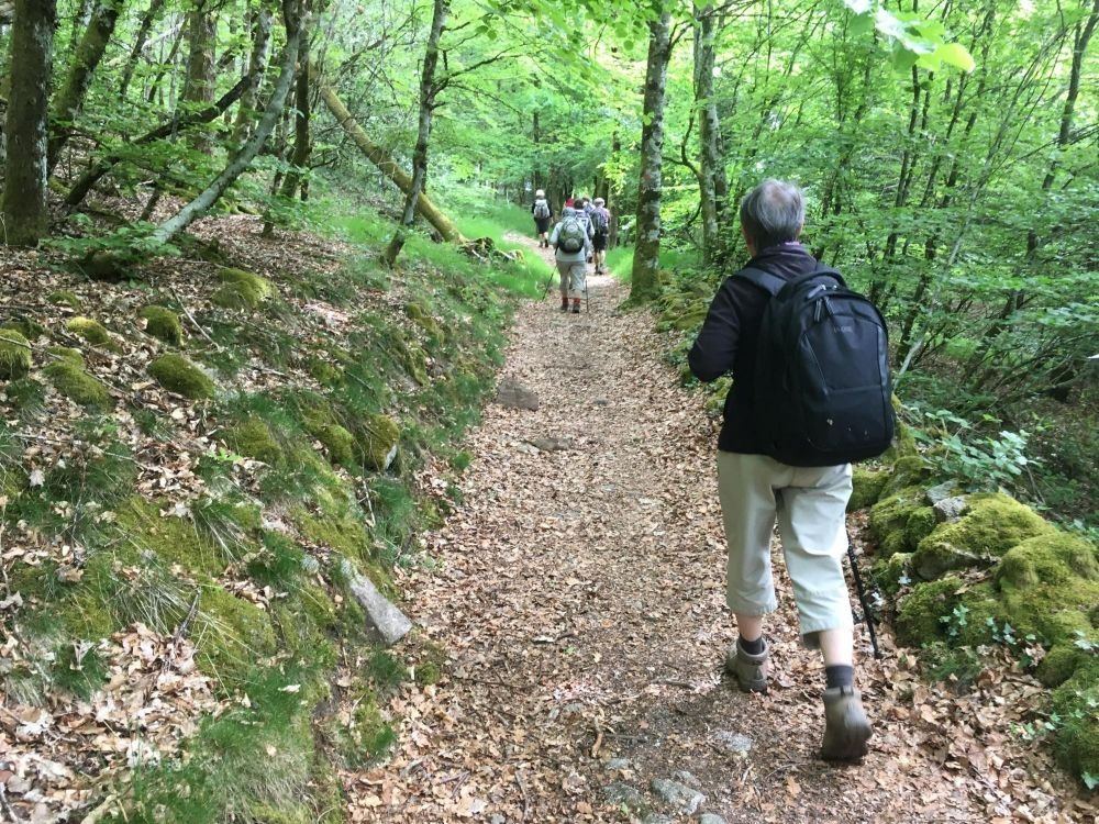 randonnée sur le plateau de Millevache