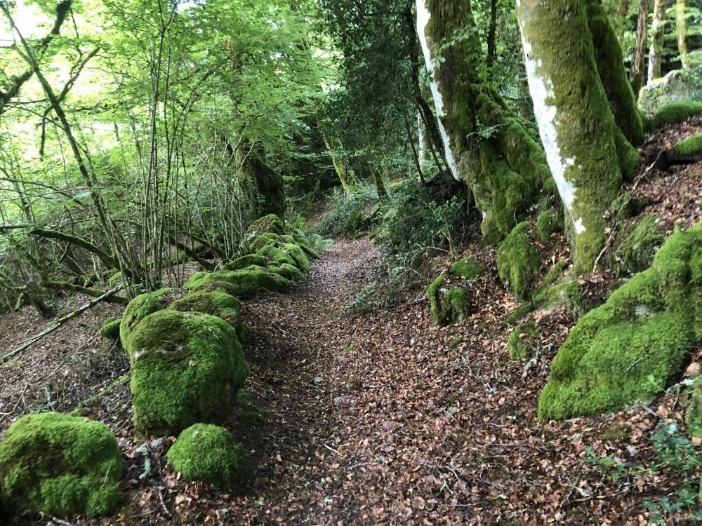 randonnée sur le plateau de Millevache