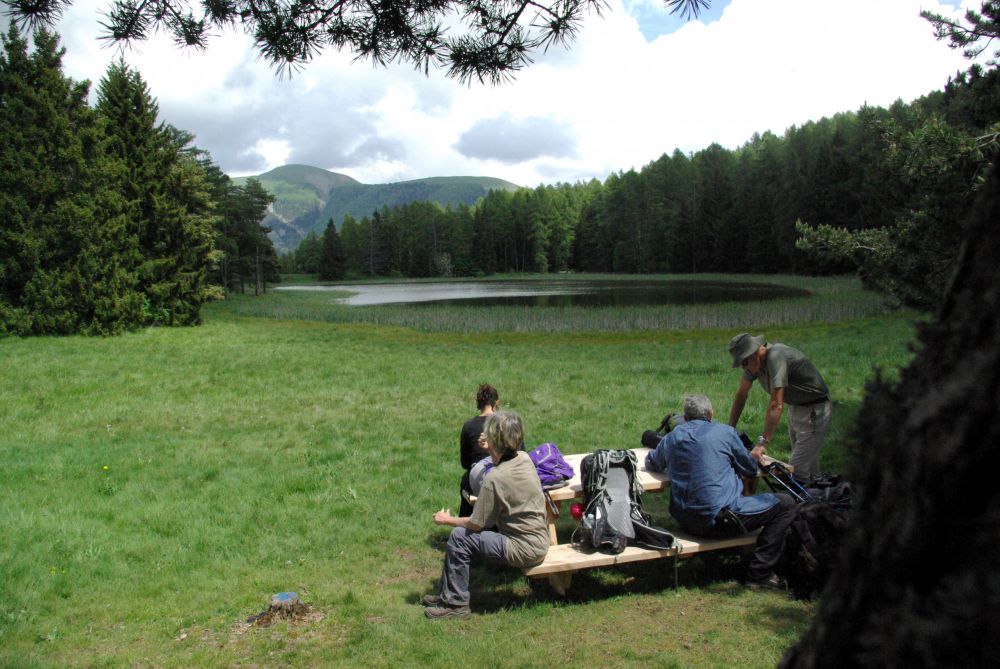 Sur la trace des loups