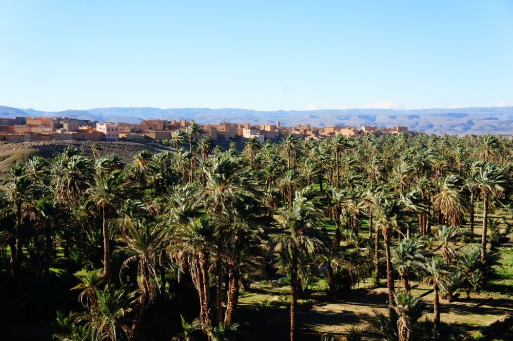 Voyage initiation à l'astronomie au Maroc