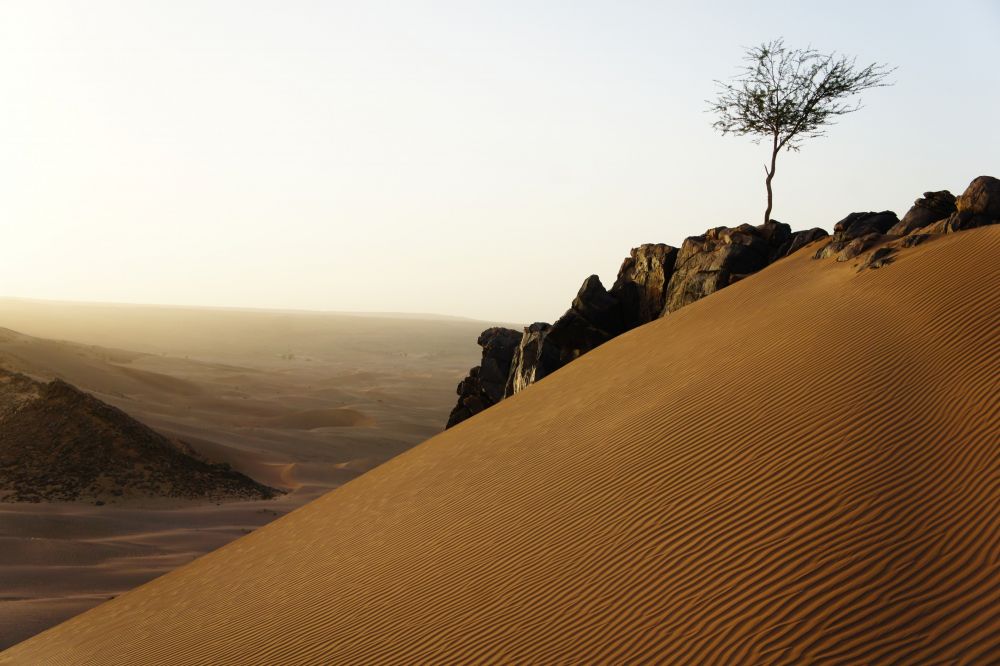 Voyage initiation à l'astronomie au Maroc