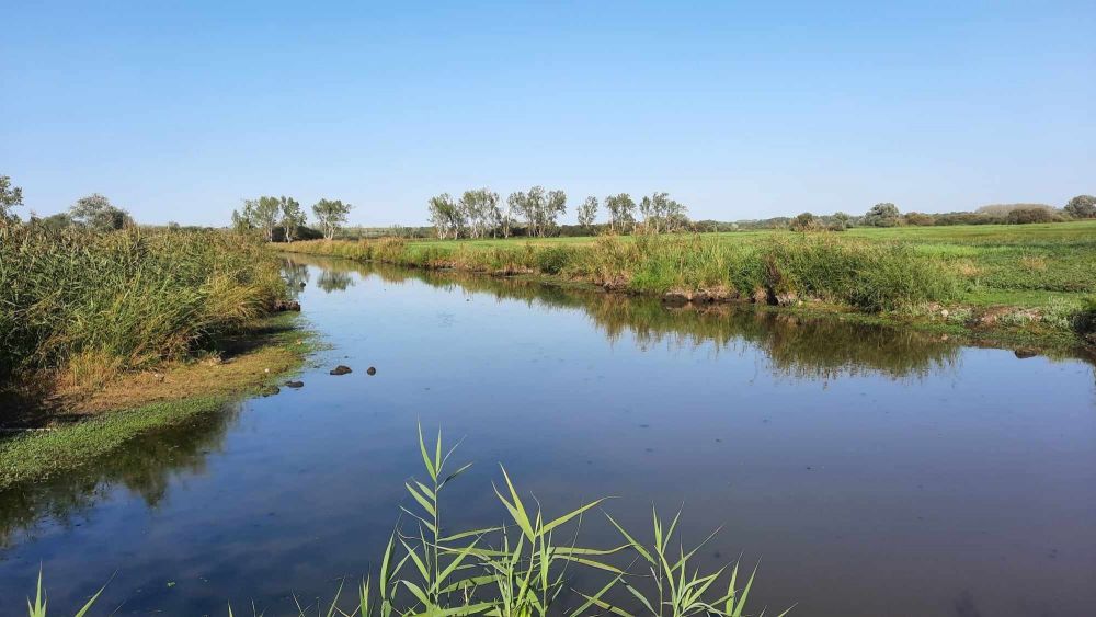 Marais de Goulaine