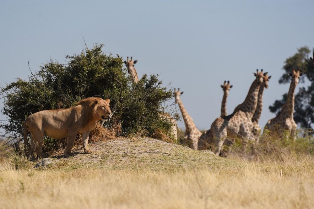 Photo voyage Namibie 3