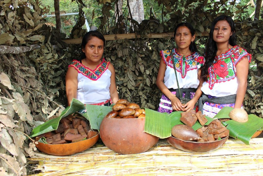 Communauté indigène Oaxaca