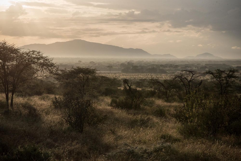 Steppes de Samburu