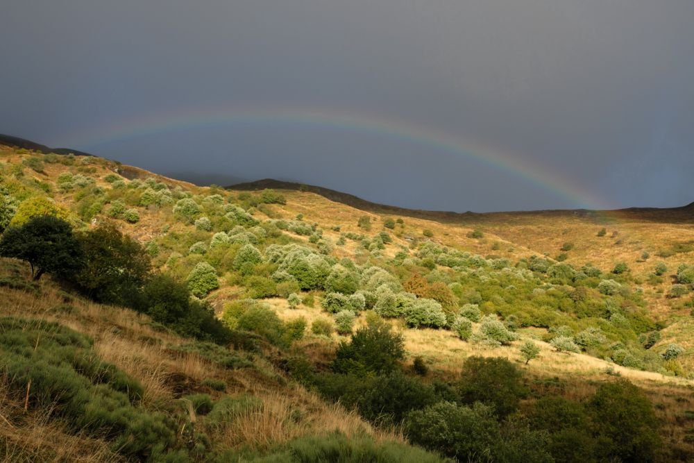 Cantal