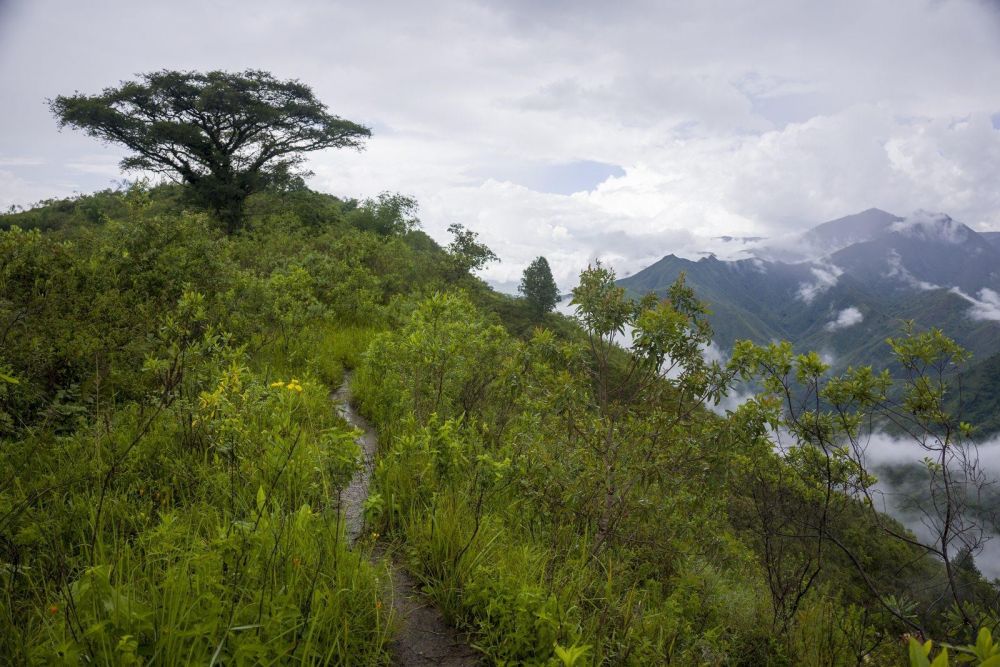 Photo voyage Tanzanie 3