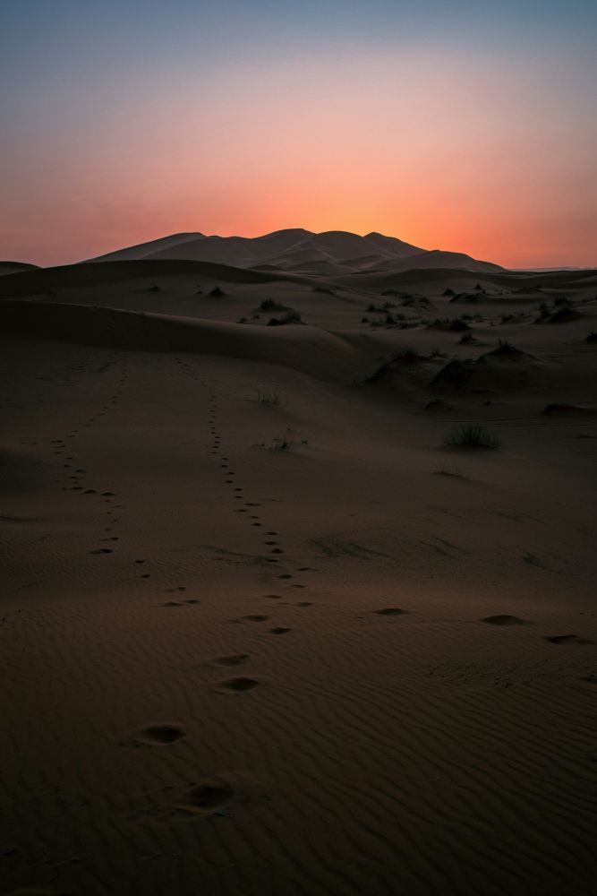 Dunes Erg Chebbi