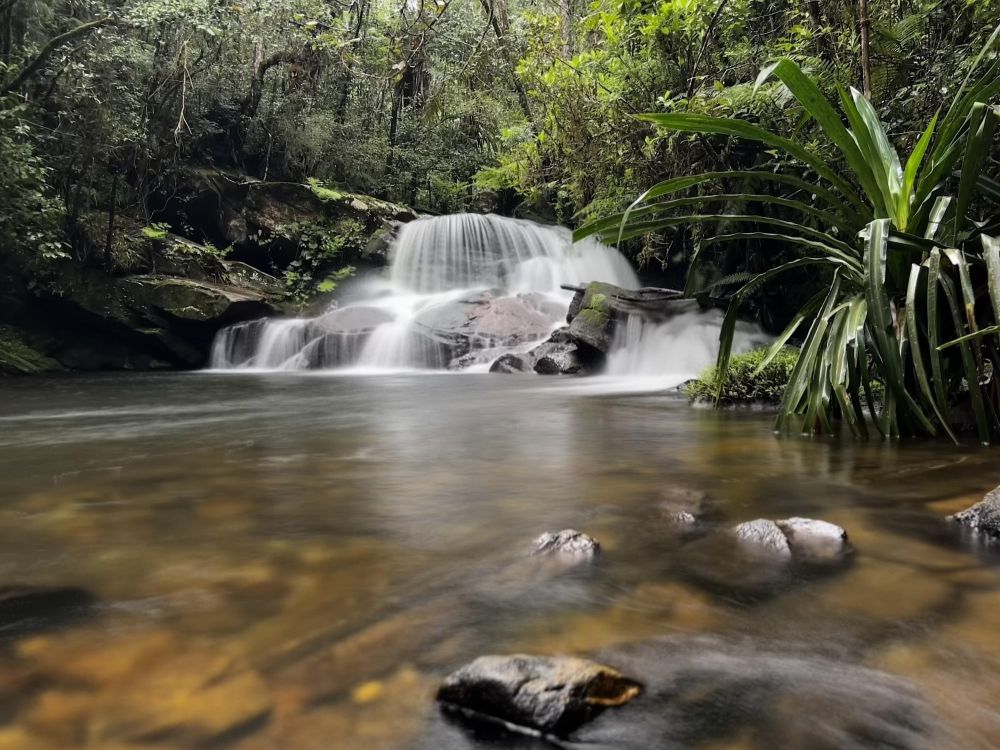 Parc national Mantadia