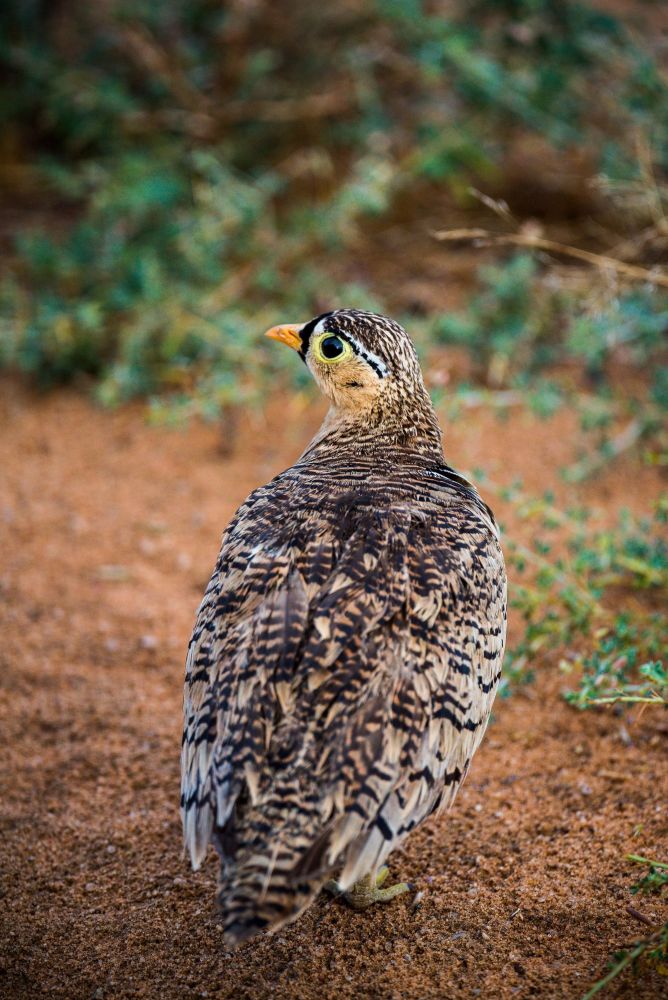 Photo voyage Kenya 20