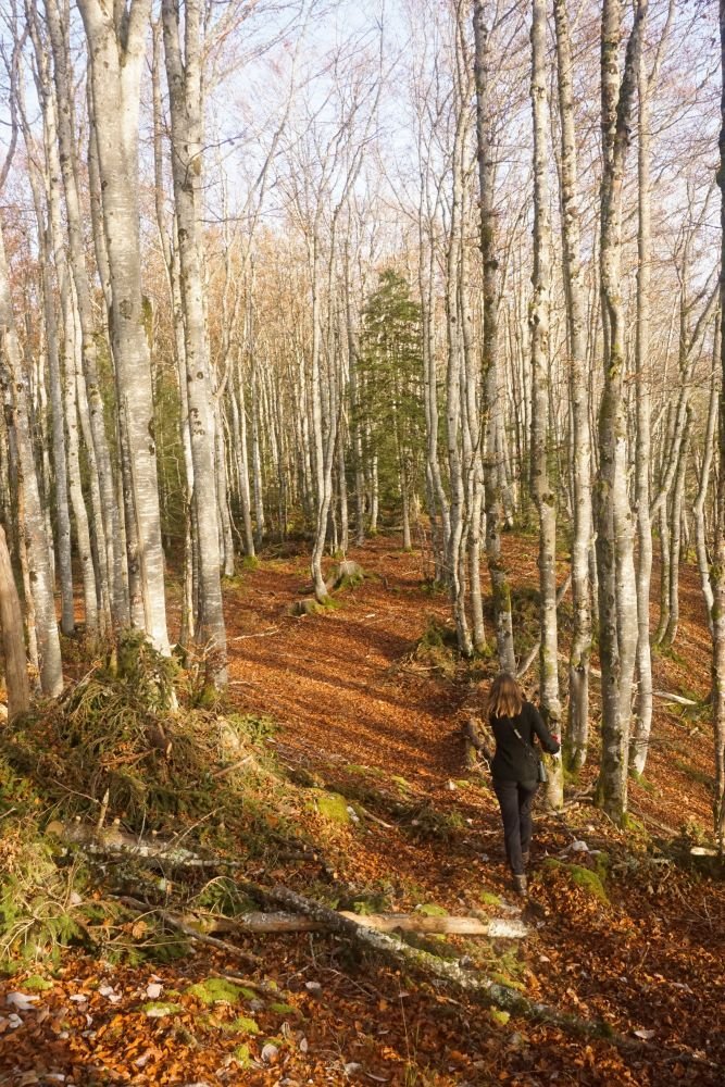 Jura - France