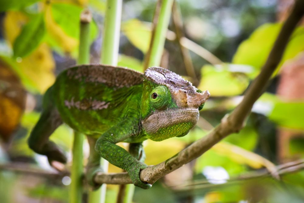 Photo voyage Madagascar 14