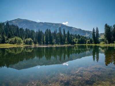 L'histoire géologique des Alpes