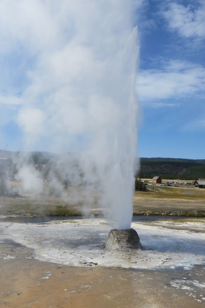 geyser yellowstone