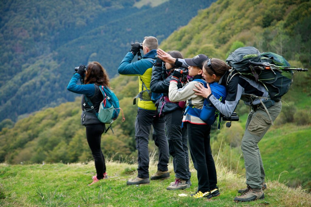 Groupe en observation